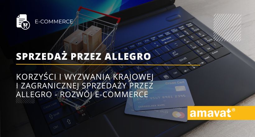 Korzyści i wyzwania krajowej i zagranicznej sprzedaży przez Allegro - rozwój e-commerce