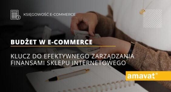 Budżet w e-commerce: Klucz do efektywnego zarządzania finansami sklepu internetowego