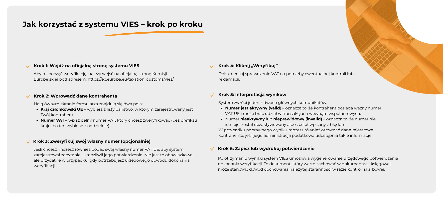Jak korzystać z systemu VIES – krok po kroku