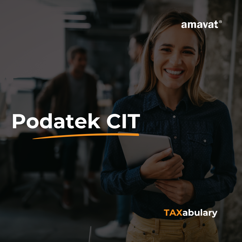 Podatek CIT – co to jest i co musi o nim wiedzieć e-commerce?